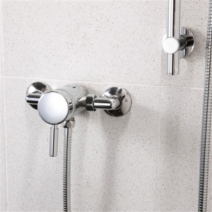 Abagno Exposed Shower Mixer